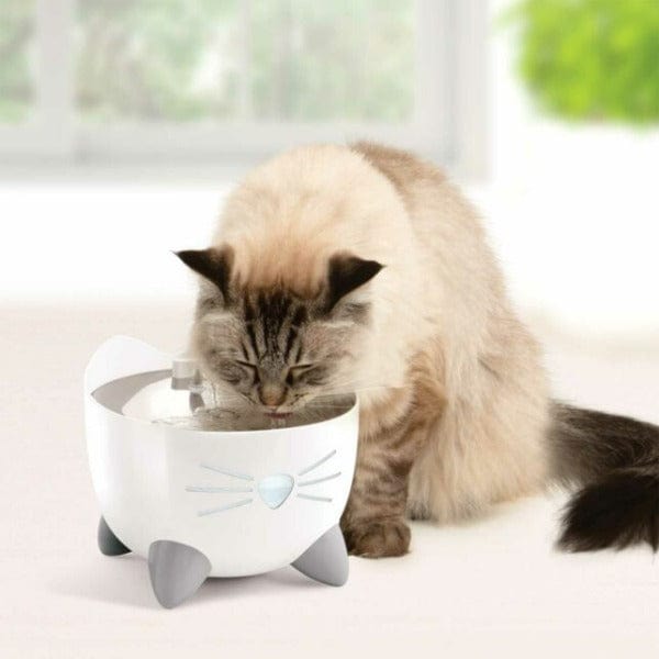 Catit PIXI High - Quality Stainless Steel Cat Water Fountain for Continuous Fresh Water Supply