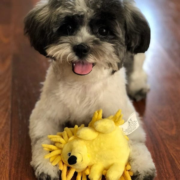 Tender-Tuffs Super Soft Tiny Hedgehog Plush Dog Toy for Small Dogs