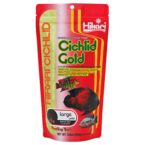 Hikari Gold Floating Pellets for Cichlids and Larger Tropical Fish