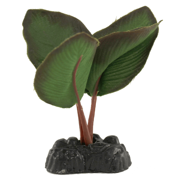 Realistic Anubias Silk Betta Aquarium Plants Set of 4
