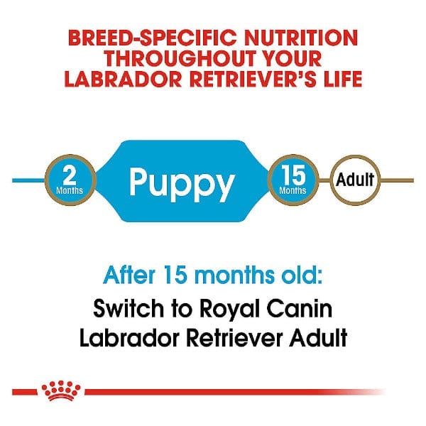 Royal Canin Premium Dry Dog Food Specially Formulated for Labrador Retriever Puppies, 30 lb Bag