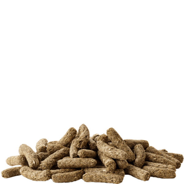Versele-Laga Complete Adult Rabbit Food for Dwarf and Regular Adult Rabbits
