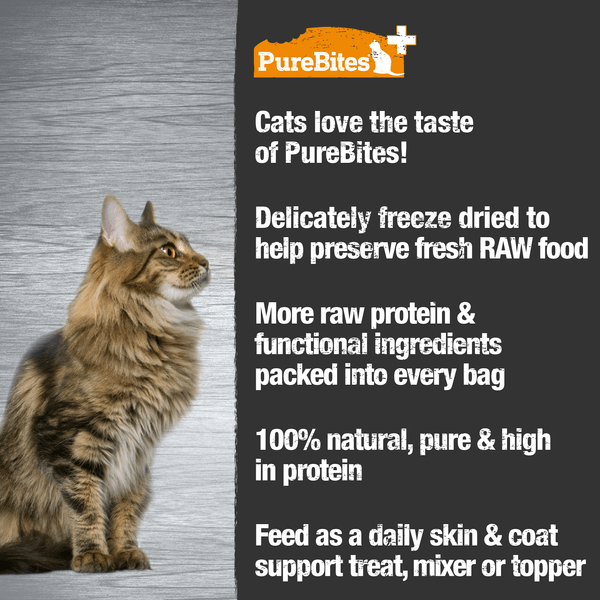 PureBites High - Quality Freeze - Dried Skin & Coat Cat Treats, 31g