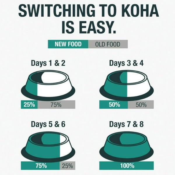 KOHA LID Premium Rabbit Pate Canned Cat Food - Ideal for Cats with Dietary Sensitivities
