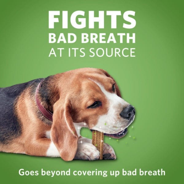Medium-Sized DentaLife ActivFresh Chews for Dogs with Fresh Breath Benefits
