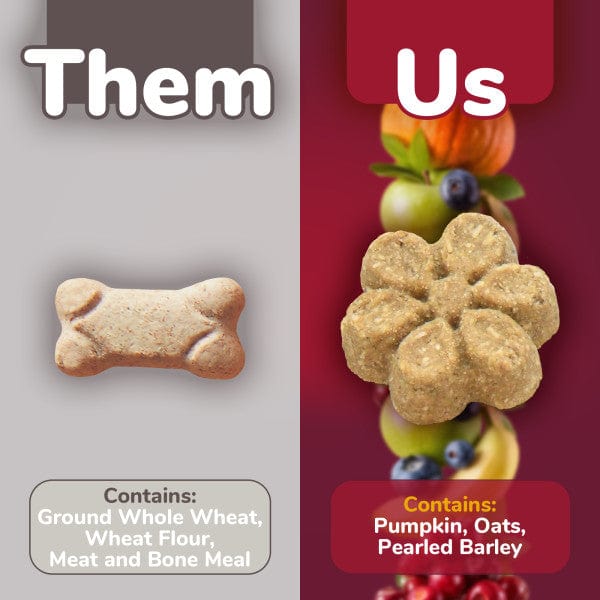 Fruitables Super - Healthy Baked Pumpkin & Cranberry Dog Treats