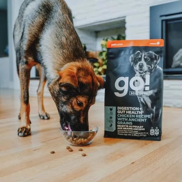 Go! Solutions Ancient Grains Chicken Dry Dog Food for Digestion & Gut Health