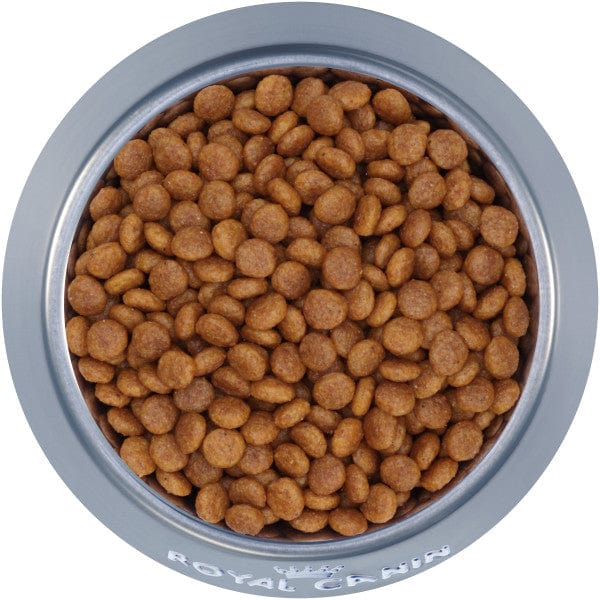 Royal Canin Dry Dog Food for Extra-Small Adult Dogs
