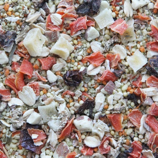 Higgins Worldly Cuisines Tuscan Dream Premium Bird Food Appetizer for All Feathered Friends