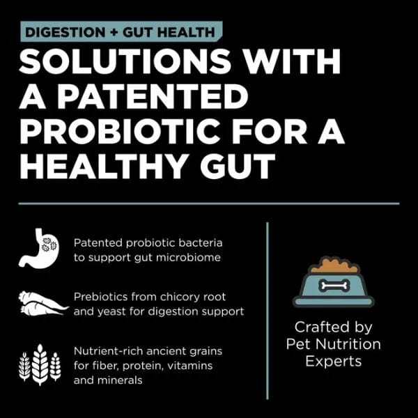Go! Solutions Ancient Grains Chicken Dry Dog Food for Digestion & Gut Health