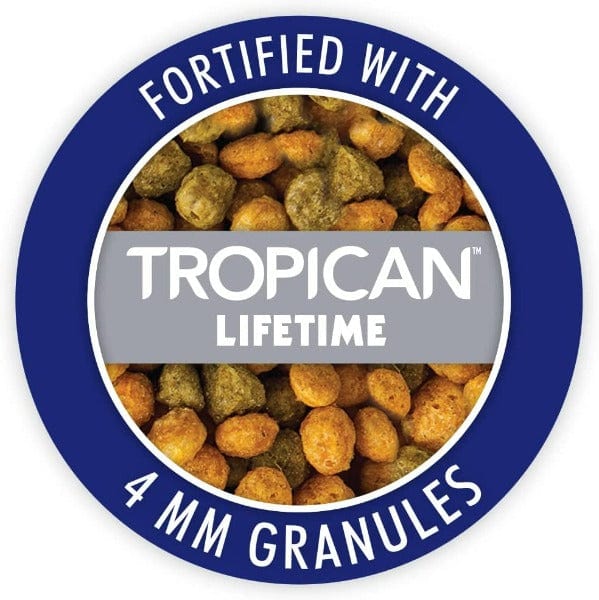 HARI Gourmet High - Quality Premium Seed, Fruit, Vegetable, and Nut Mix Specially Designed for Parrots