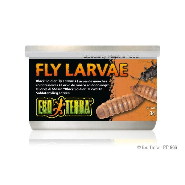 Exo Terra Canned Black Soldier Fly Larvae - Special Reptile Food