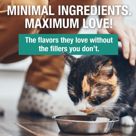 KOHA LID Premium Rabbit Pate Canned Cat Food - Ideal for Cats with Dietary Sensitivities