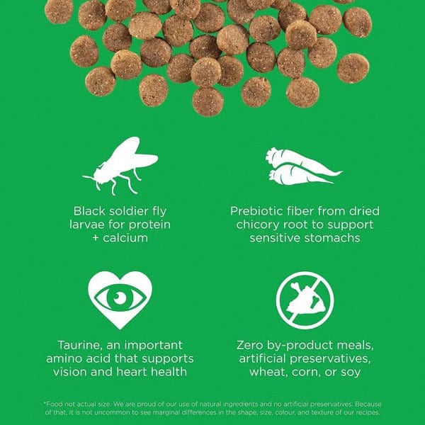 Go! Solutions High - Quality Sensitivities Limited Ingredient Grain - Free Insect - Based Recipe Dry Dog Food for Adult and Senior Dogs
