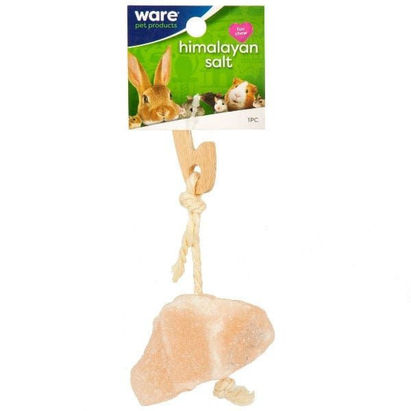 Himalayan Rock Salt Treat on a Rope for Small Pets