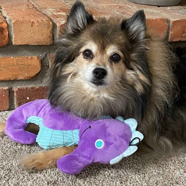 Soft and Durable Tender-tuffs Seahorse Plush Interactive Dog Toy