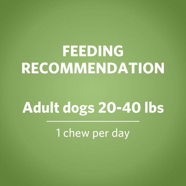 Medium-Sized DentaLife ActivFresh Chews for Dogs with Fresh Breath Benefits