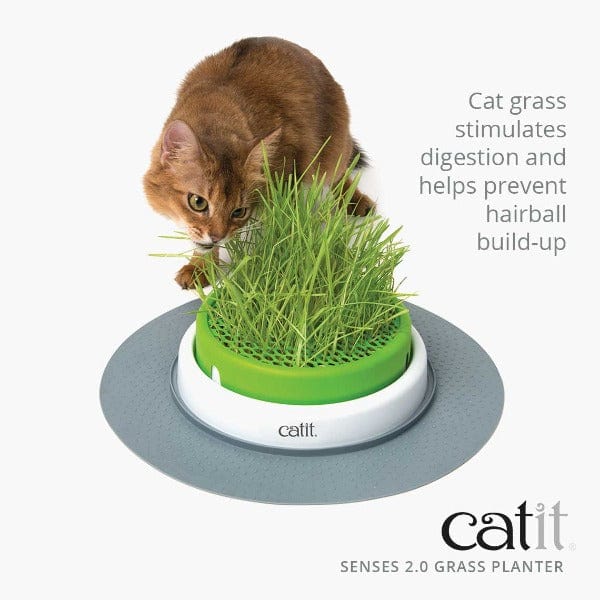 Catit Senses 2.0 Indoor Cat Grass Planter with Design Upgrades