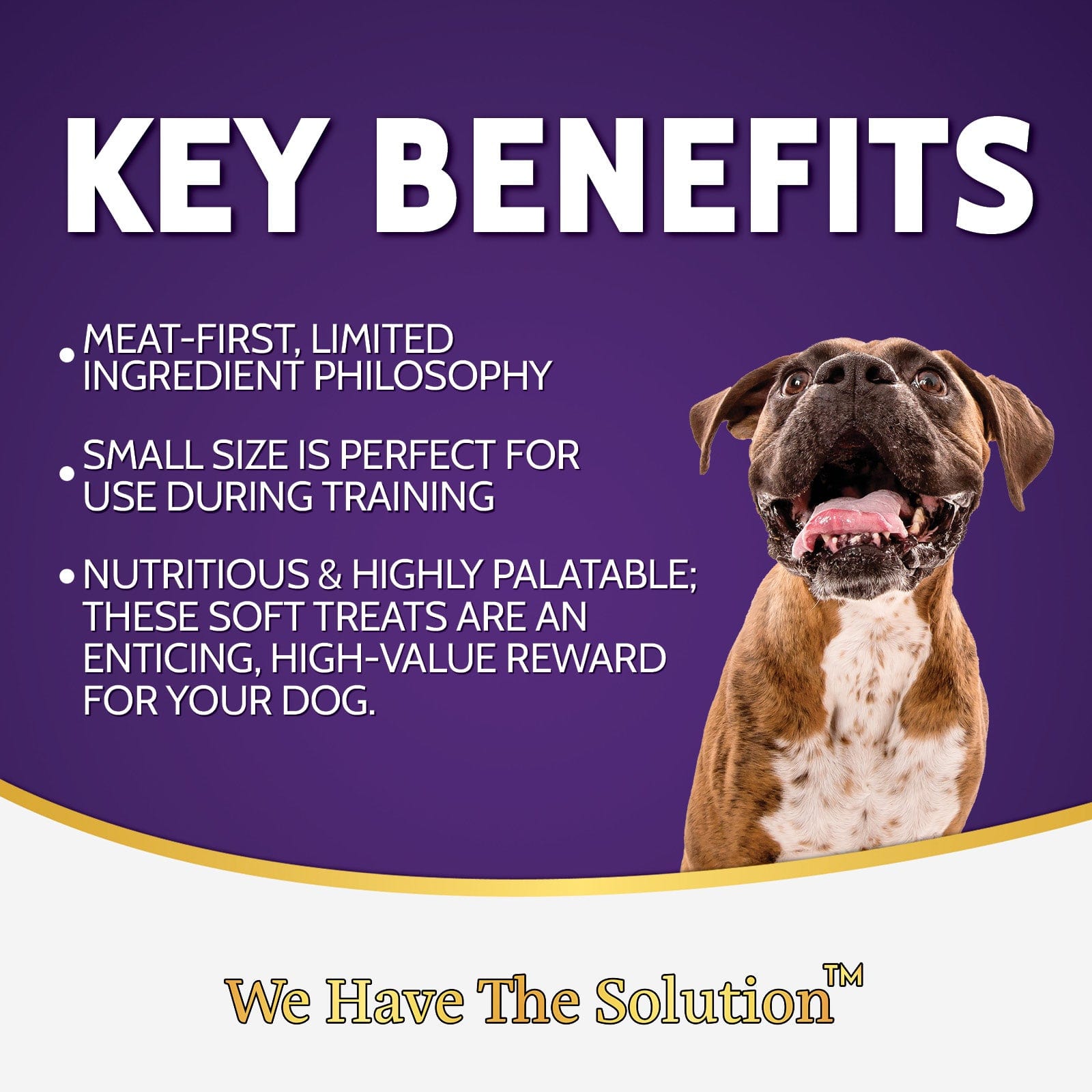 Zignature Premium Soft and Moist Lamb - Flavored Dog Treats for Canine Companions
