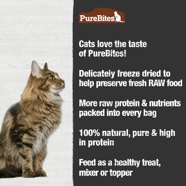 PureBites Premium Freeze - Dried Turkey Cat Treats, 26g Bag for Feline Delight