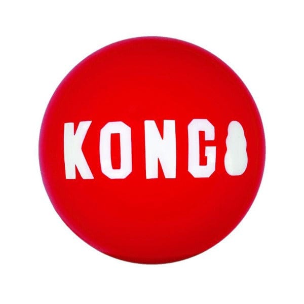KONG Signature Two-Pack Fetching Ball Dog Toy Set for Endless Play