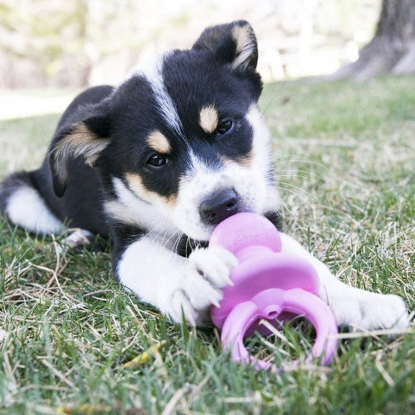 KONG Puppy Binkie - Ideal Chew Toy for Young Puppies
