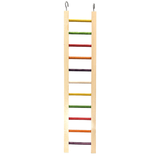 11 - Rung Colorful Wooden Bird Ladder by Tweeters for Medium to Large Birds