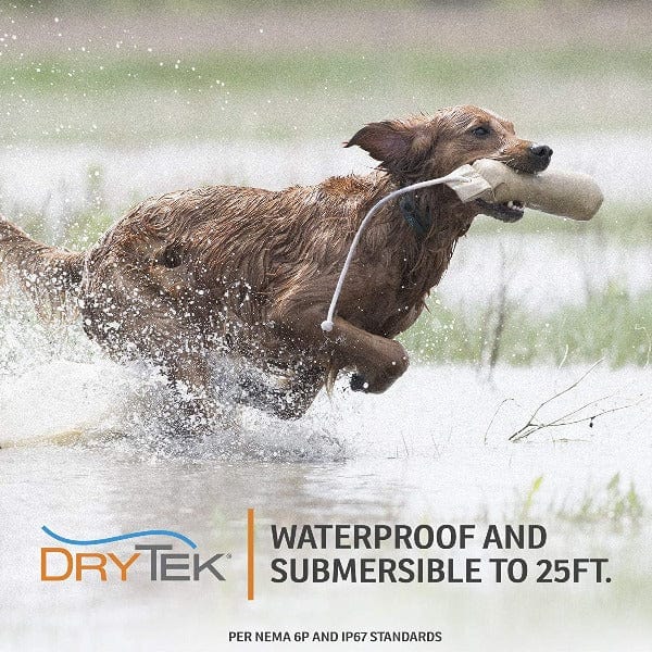 SportDOG SportHunter 1225X Long - Range Remote Trainer for Multiple Dogs