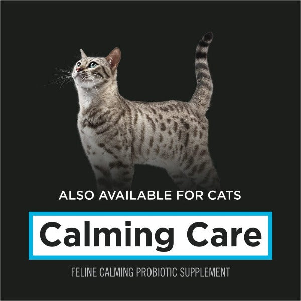 Purina Pro Plan Veterinary-Certified Powdered Calming Dietary Supplement for Dogs - Calming Care