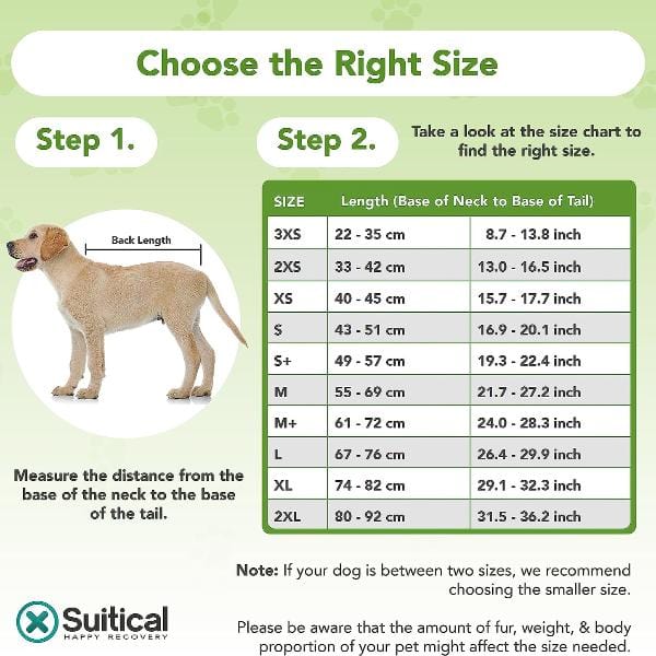 Premium Dog Recovery Suit - Suitical Brand for Post - Surgery and Various Conditions