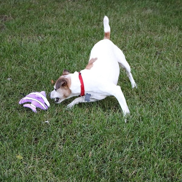 Tender-Tuffs Small-Sized Purple Angelfish Plush Interactive Dog Toy for Small Dogs
