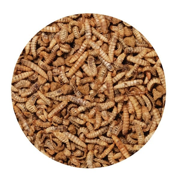 Living World Green Gourmet Insect Toppers for Small Pets