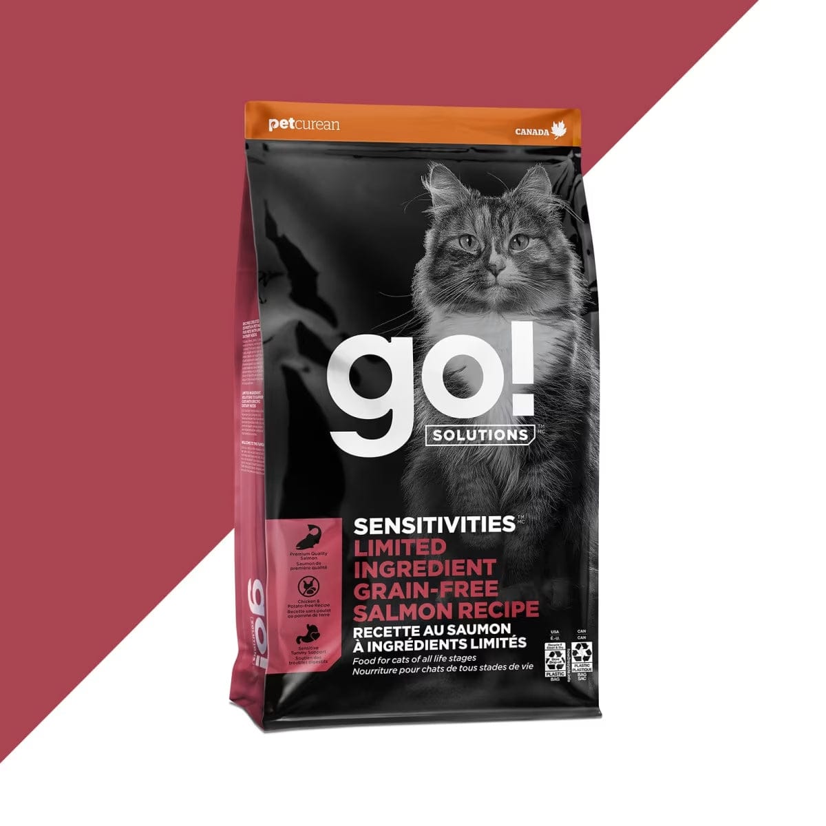 Go! Solutions Grain-Free 6lb Dry Cat Food with Single-Source Salmon for Sensitive Cats