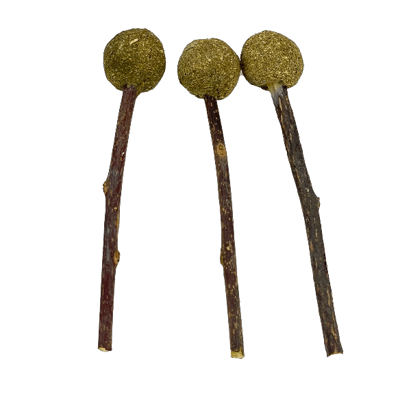 Moss Hollow Pet Timmy Pops Hay Treats for Small Animals