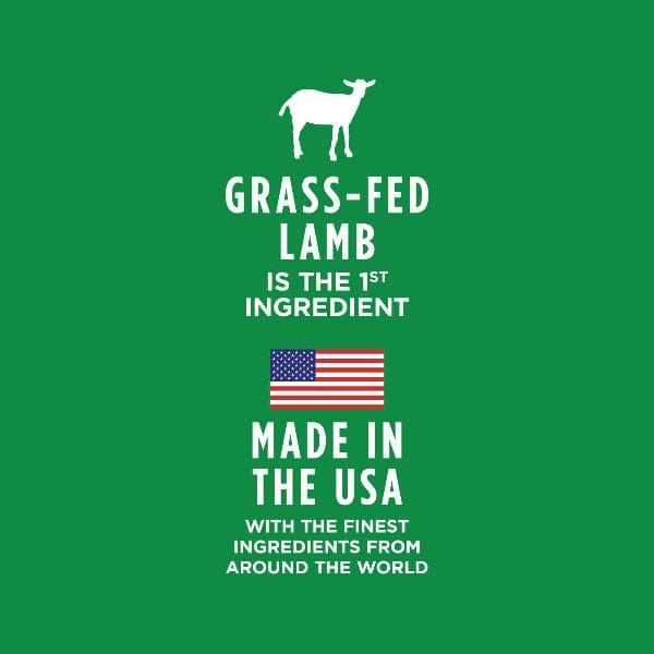 Instinct Healthy Cravings Grain - Free Dog Food Pouch with Real Grass - Fed Lamb Recipe