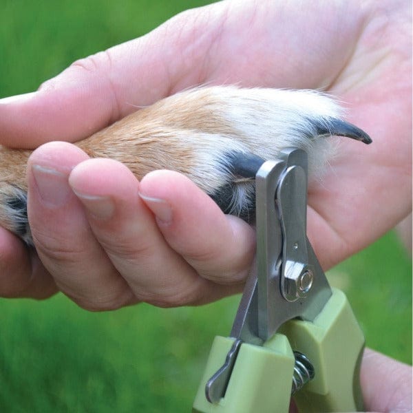 Safari High - Quality Professional Stainless Steel Dog Nail Clipper for Grooming
