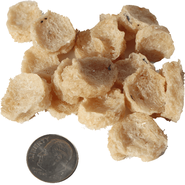 Icelandic Pure Cod Mini Fish Chips - Premium Dog Treats (Special Order Required)