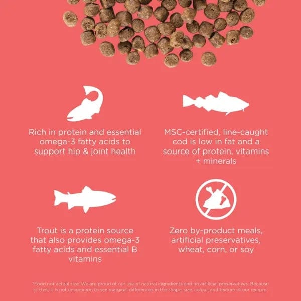 Go! Solutions Grain-Free Dry Cat Food: Salmon & Cod Recipe