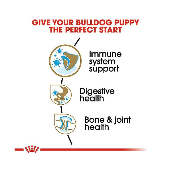 Royal Canin Premium Dry Dog Food Specially Formulated for English Bulldog Puppies, 30lb Bag