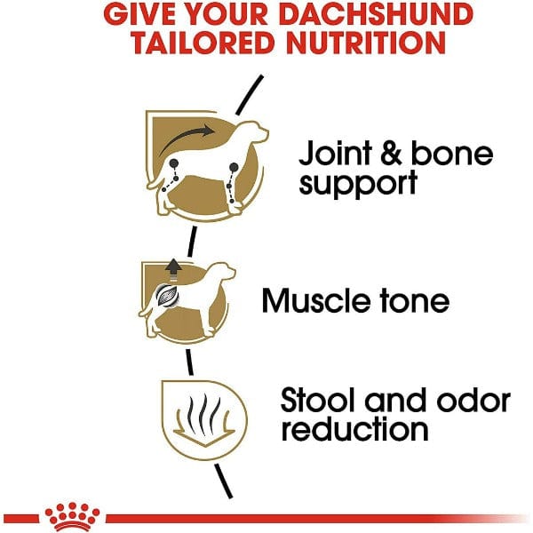Royal Canin Adult Dry Dog Food Specially Formulated for Pure - bred Dachshunds