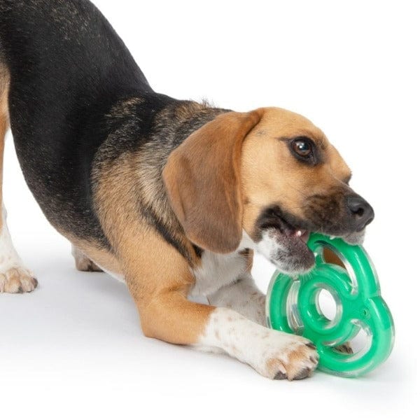 Zeus Duo Chew Toy - Ninja Star Style for Dogs
