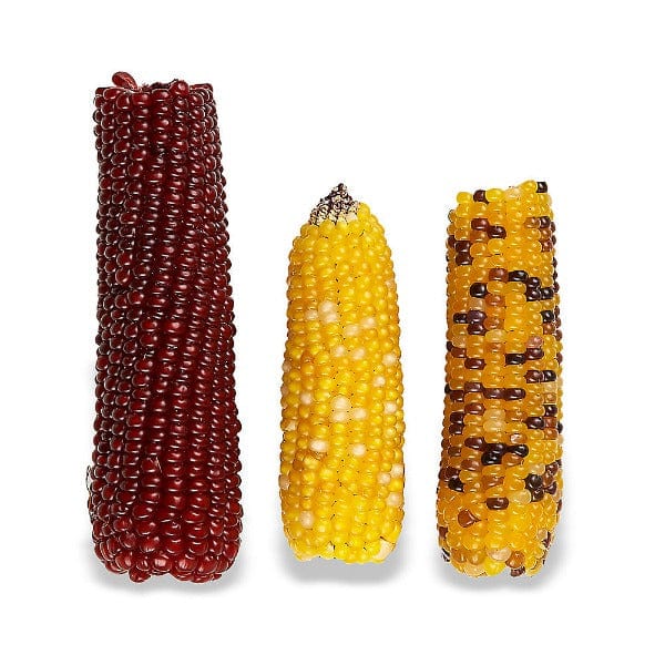 Vitakraft All-Natural Mini Pop Treats for Small Animals