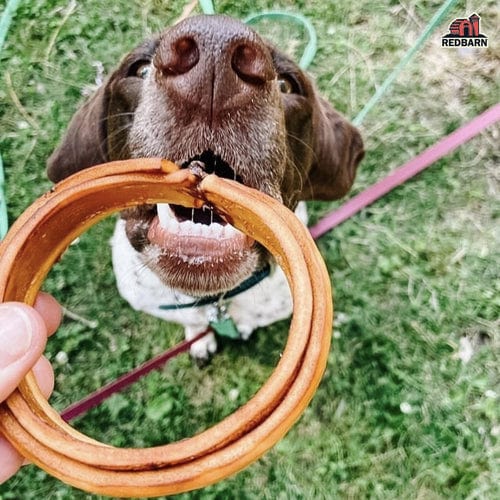 RedBarn High - Protein Puffed Collagen Ring Treat