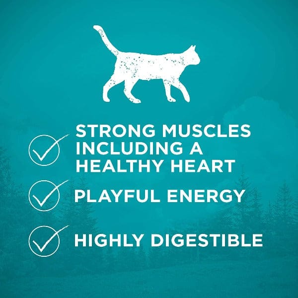 Purina ONE True Instinct Grain-Free Dry Cat Food with Real Chicken, 1.45kg - Premium Feline Nutrition