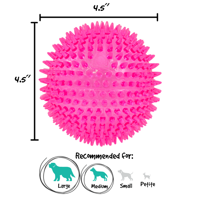 Extra Large Gnawsome Squeaker Ball with Spiky Texture for Big Dogs