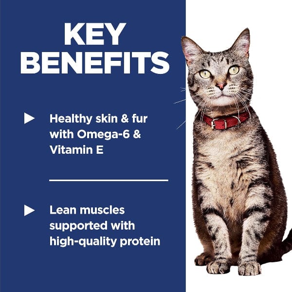 Hill's Science Diet High - Quality Adult Chicken Recipe Dry Cat Food