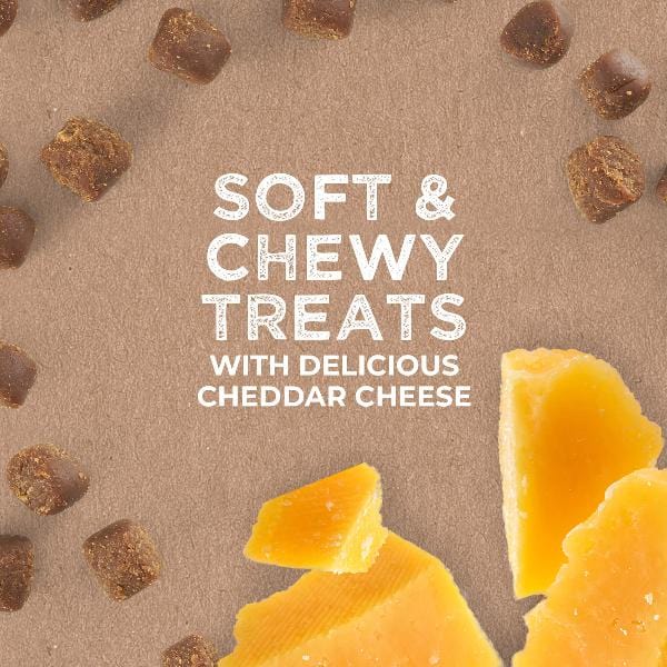 Cloud Star Soft & Chewy Cheddar-Flavored Dog Training Treats