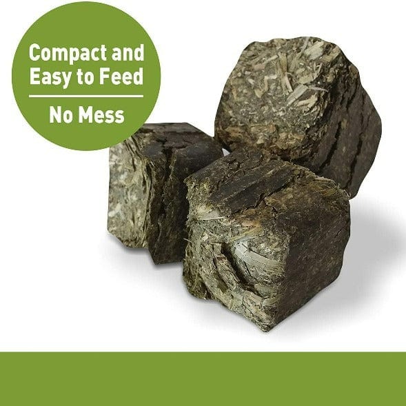 Living World 100% Natural Timothy Chews: Ideal Treats for Small Pets