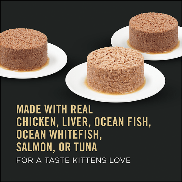Purina Pro Plan Focus Kitten Canned Food - A Delightful Variety Pack for Young Kittens