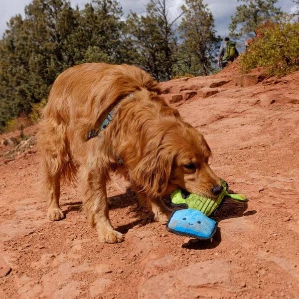 Soft and Durable Tender-tuffs Easy Grab Green Cactus-shaped Interactive Plush Dog Toy